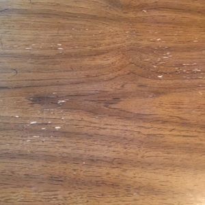 Meet your Posher, Charlotte